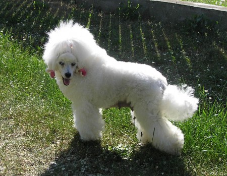 DORLY 14 dní po porodu